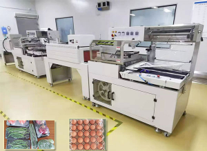 蔬菜熱收縮膜包裝機-全自動瓜果熱收縮包裝機