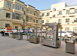 全自動(dòng)十二頭灌裝流水線