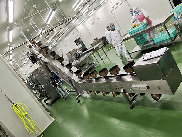 111de-1.jpg 111de-1.jpg